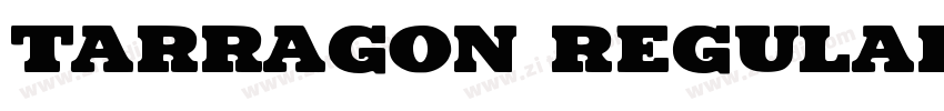 Tarragon Regular字体转换